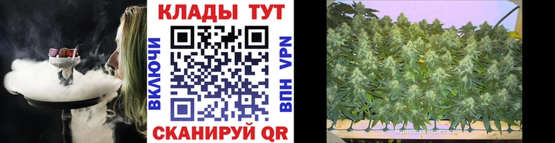 Купить наркотики сайты Ельня Кокаин  MDMA  Меф  Гашиш  Галлюциногенные грибы  Бошки Шишки  А ПВП 