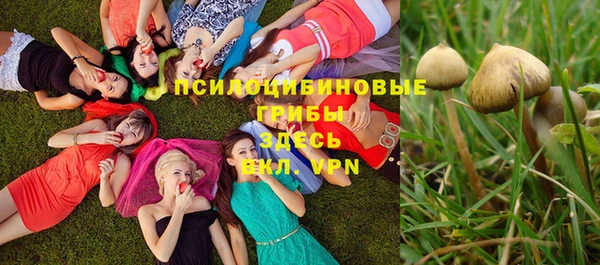 стафф Гусь-Хрустальный