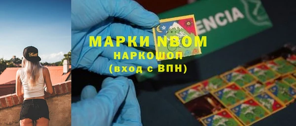 крисы Дмитриев