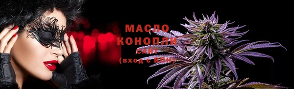 дмт Дмитровск