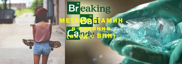 индика Дмитров