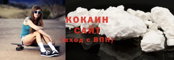 индика Дмитров