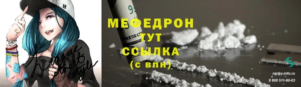 индика Дмитров