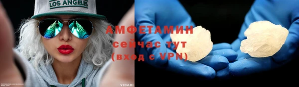 индика Дмитров