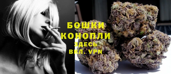стаф Медвежьегорск