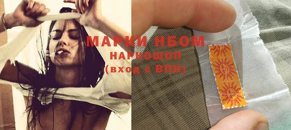 индика Дмитров