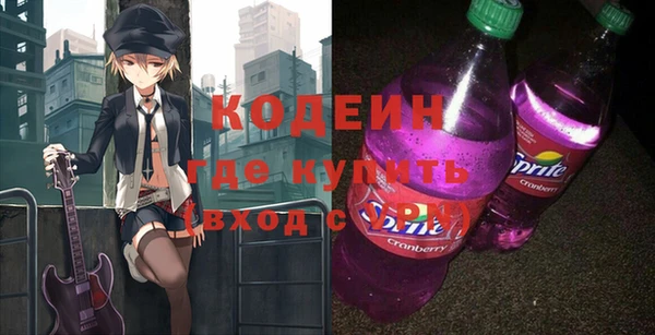 индика Дмитров