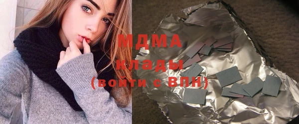 индика Дмитров
