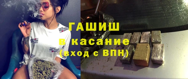 индика Дмитров