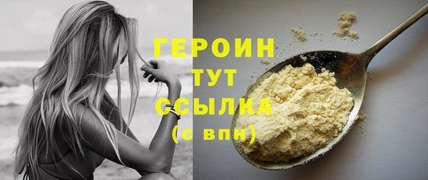 индика Дмитров